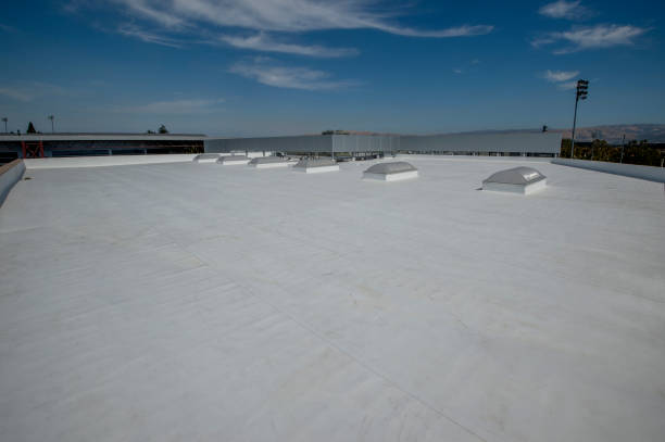 Best Commercial Roofing Services  in Pine Island, MN