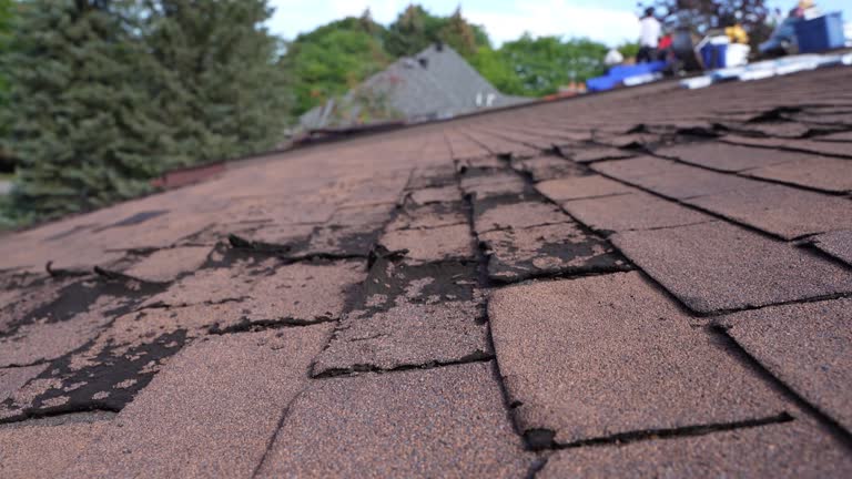 Best Tile Roofing Installation  in Pine Island, MN