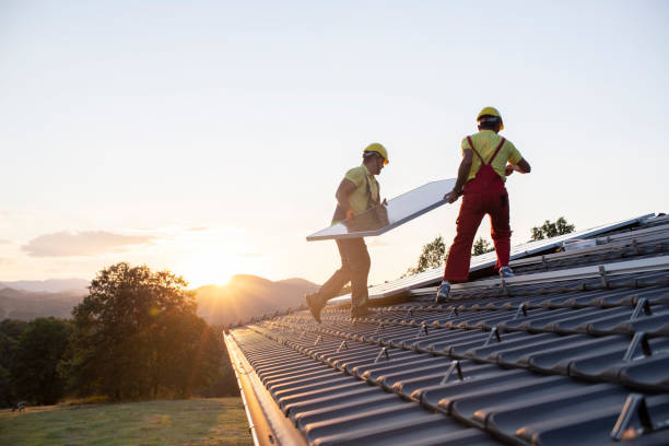 Fast & Reliable Emergency Roof Repairs in Pine Island, MN
