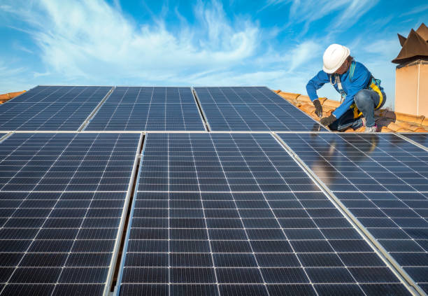 Best Sheet Metal Roofing  in Pine Island, MN
