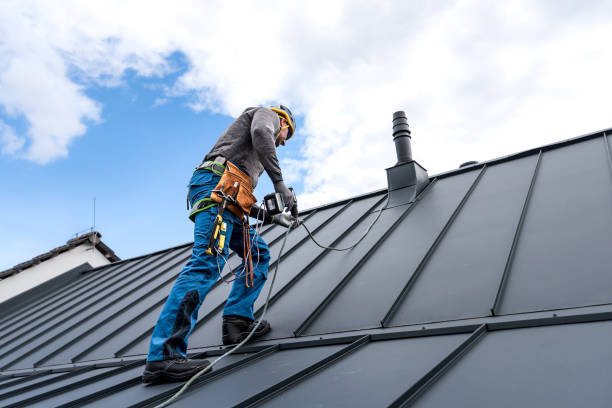 Best Gutter Installation and Repair  in Pine Island, MN